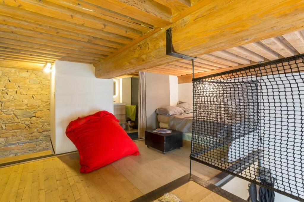 Duplex Le Vorace Lião Exterior foto